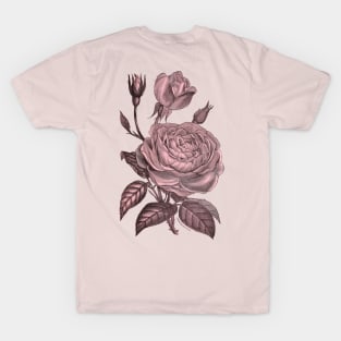 Pink Rose Flower Vintage Illustration T-Shirt